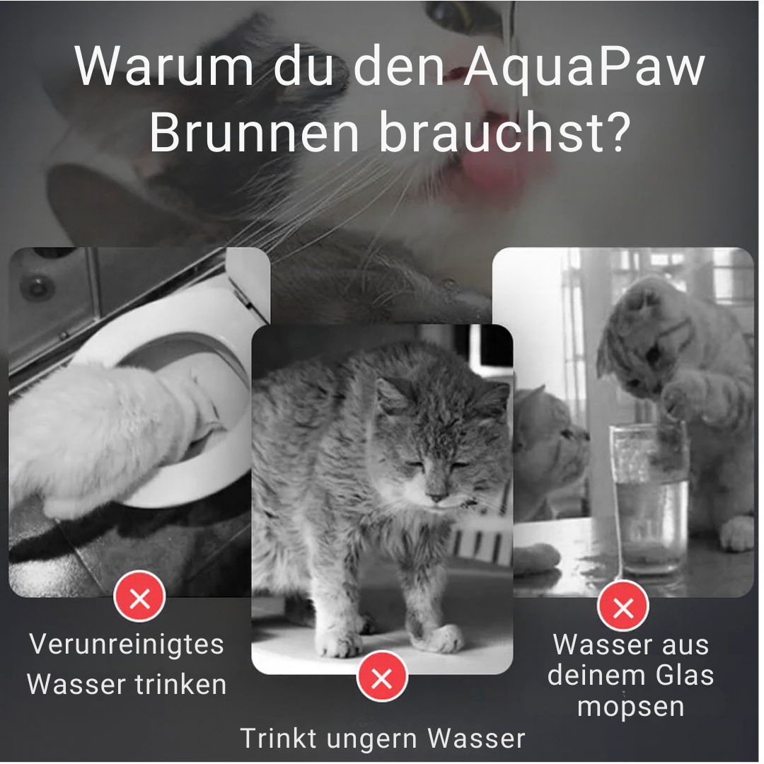 AquaPaws - Wasserbrunnen