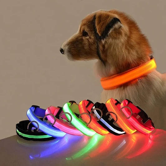 Nylon LED Hundehalsband