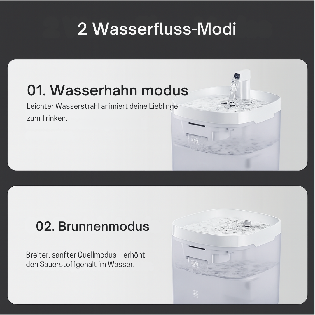 AquaPaws - Wasserbrunnen